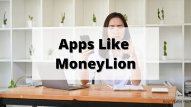 9-apps-like-moneylion 