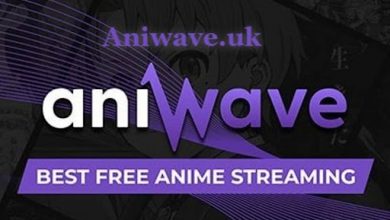 how-to-watch-dubbed-and-subbed-anime-on-aniwave
