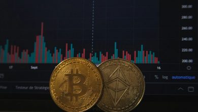 what-is-cryptocurrency-fraud-investigation?-how-do-they-work?